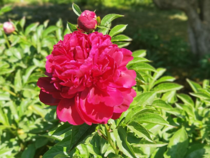 我眼中的美好城市,我眼中的城市是最美的