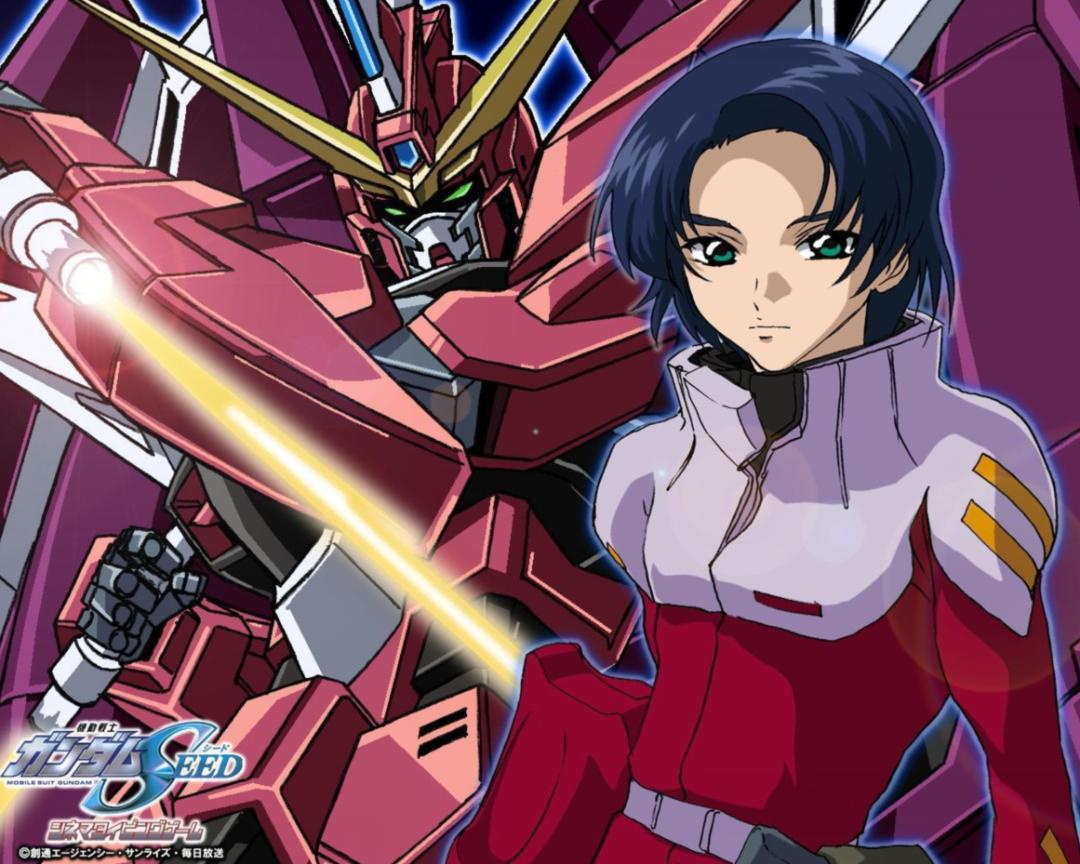 开高达的男人王者荣耀,开高达的日本动漫