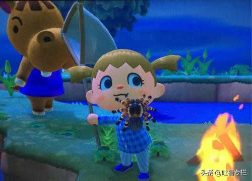 动物之森结婚,动物之森谈恋爱