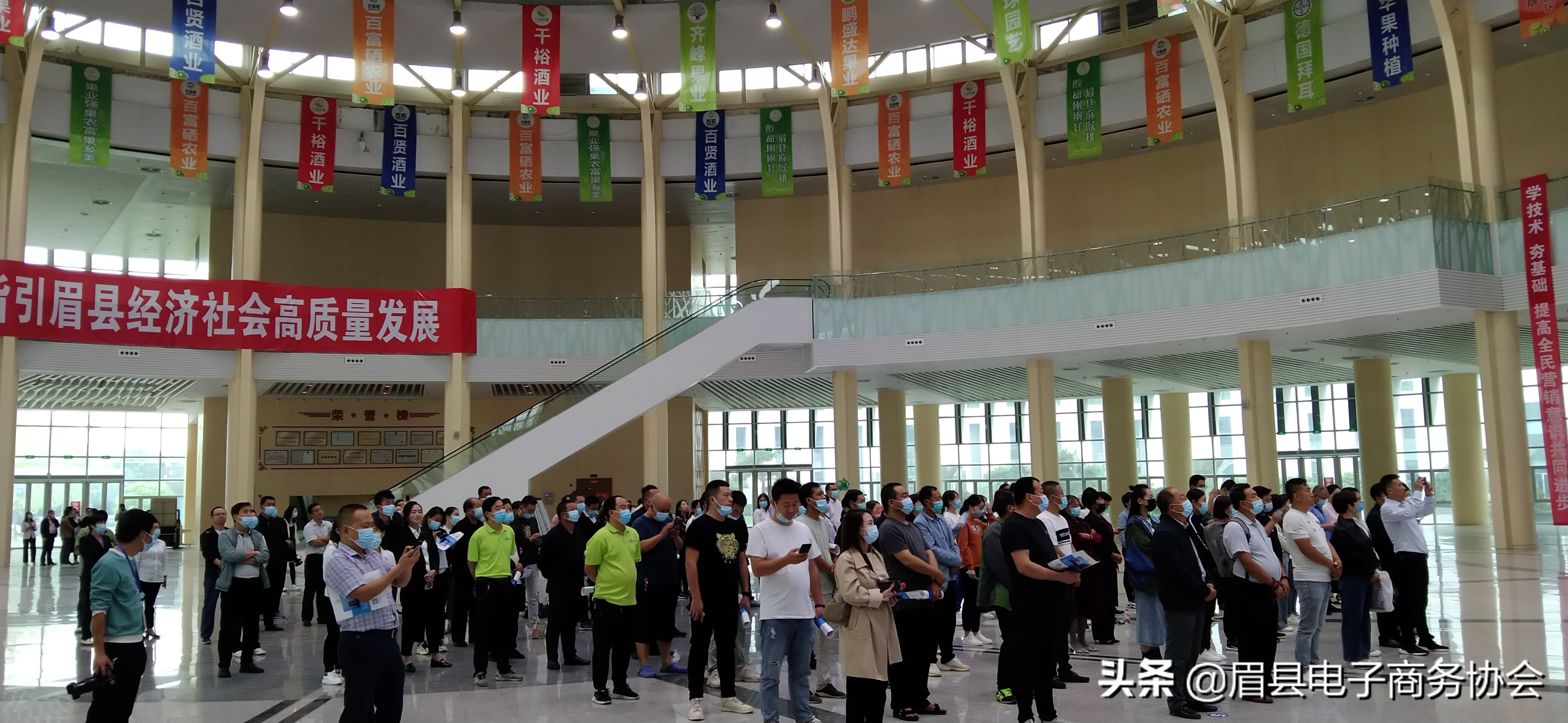 2021年眉县猕猴桃大会,眉县第十一届猕猴桃产业大会直播