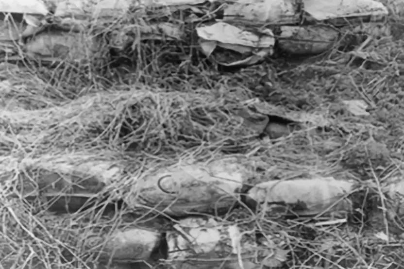 杀人回忆真凶落网完整版,杀人回忆背后的真实案件