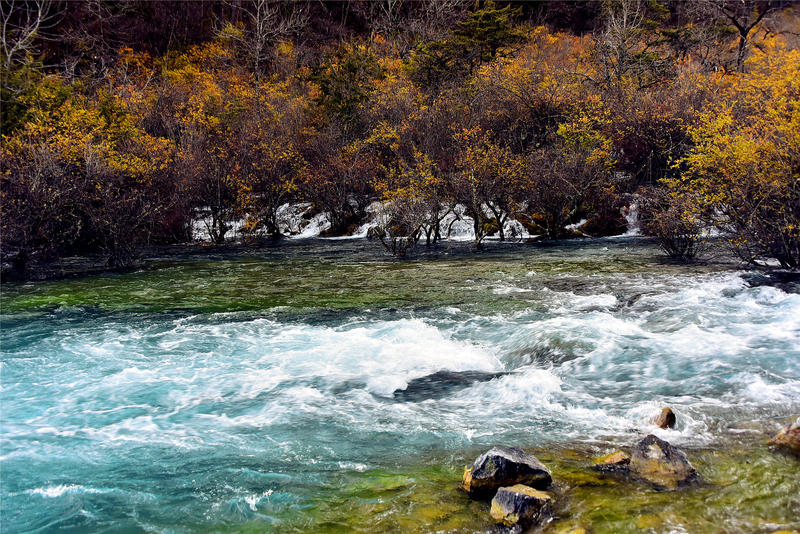 置身于童话中的九寨沟,畅游人间仙境黄龙九寨沟七日游