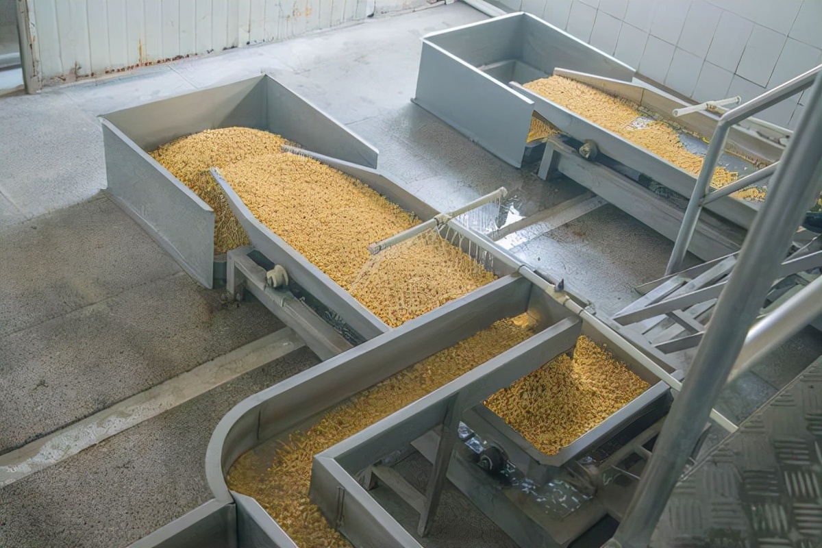 豆状元直播,豆状元腐竹产品