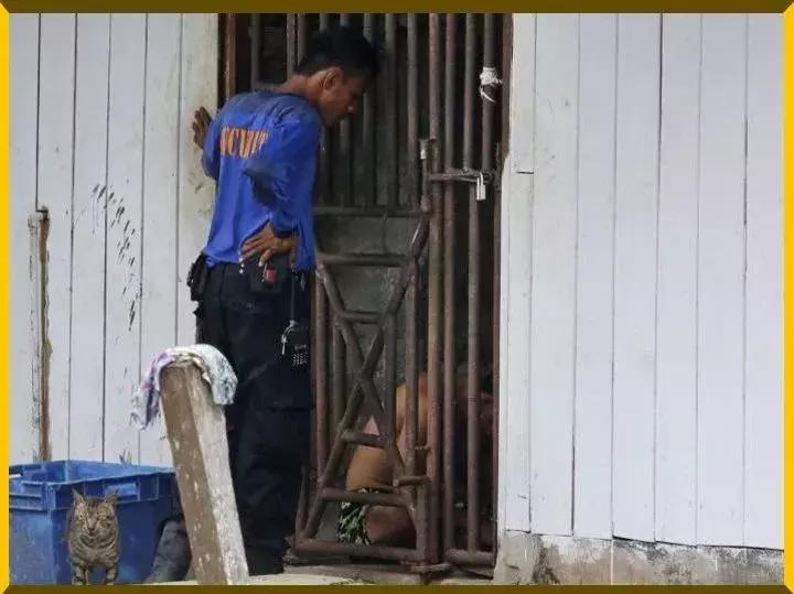 “19岁,她在暗网被30万欧元拍卖”