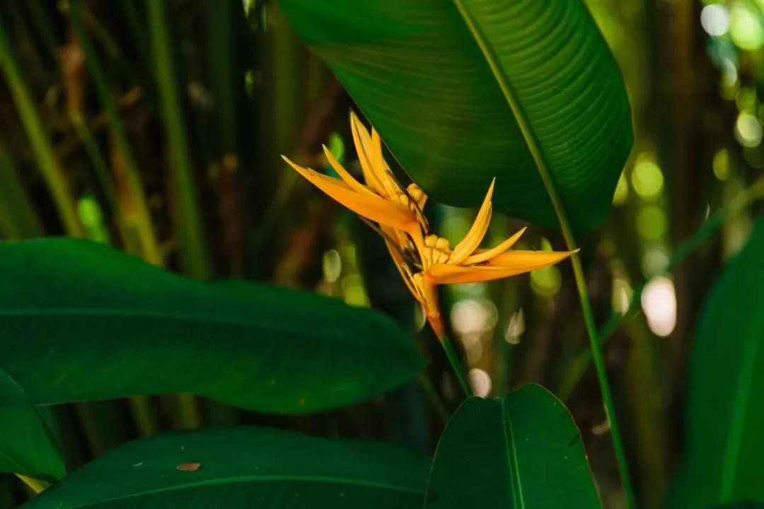 西半球最高观景台、北京最高“中国尊”都是他们的新作