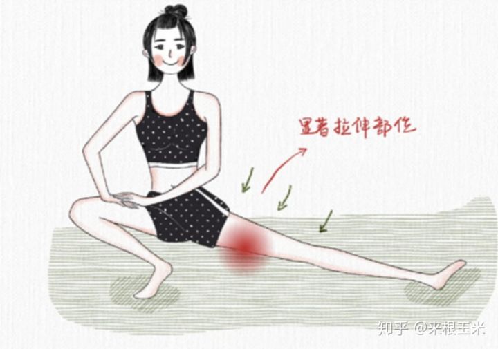 假胯宽、大象腿、脂肪腿，天生大粗腿的人该如何瘦大腿？