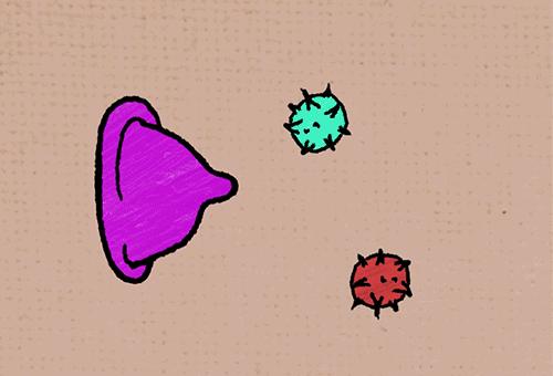 女生一些必须知道的事情,女生必须知道的9件事图片