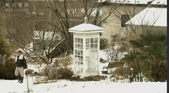 日本高分纪录片免费观看,日本的高分纪录片