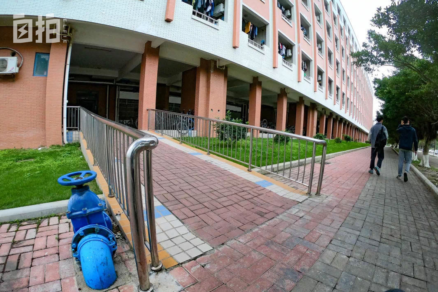 我，坐轮椅的大学生，上天能跳伞、下海能潜水，像普通人一样生活