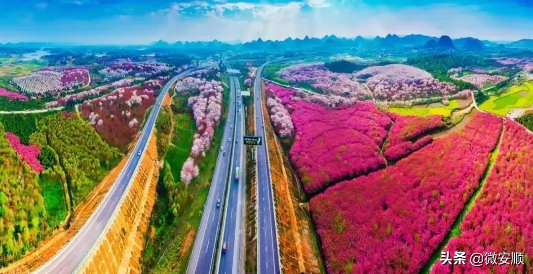 你好！我叫安顺，这是我2021最新简历