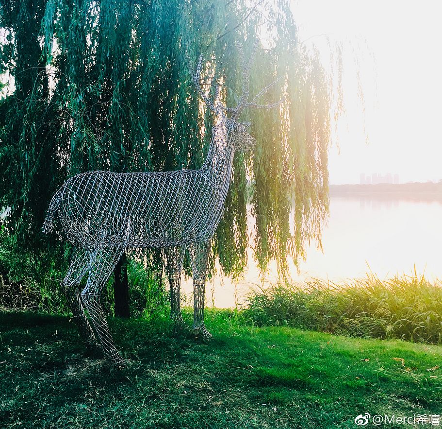 武汉必打卡排行榜,武汉十大打卡地