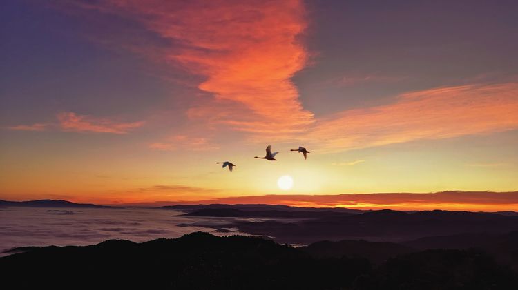 鎽勫奖鏂版墜璐拱鐩告満娉ㄦ剰浜嬮」,鎷嶅绾辨憚褰辫娉ㄦ剰浜嬮」