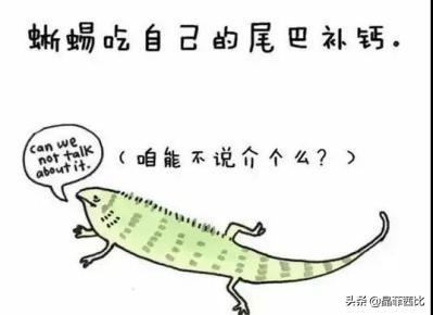 8个关于动物的冷知识,你不知道的二十条动物冷知识