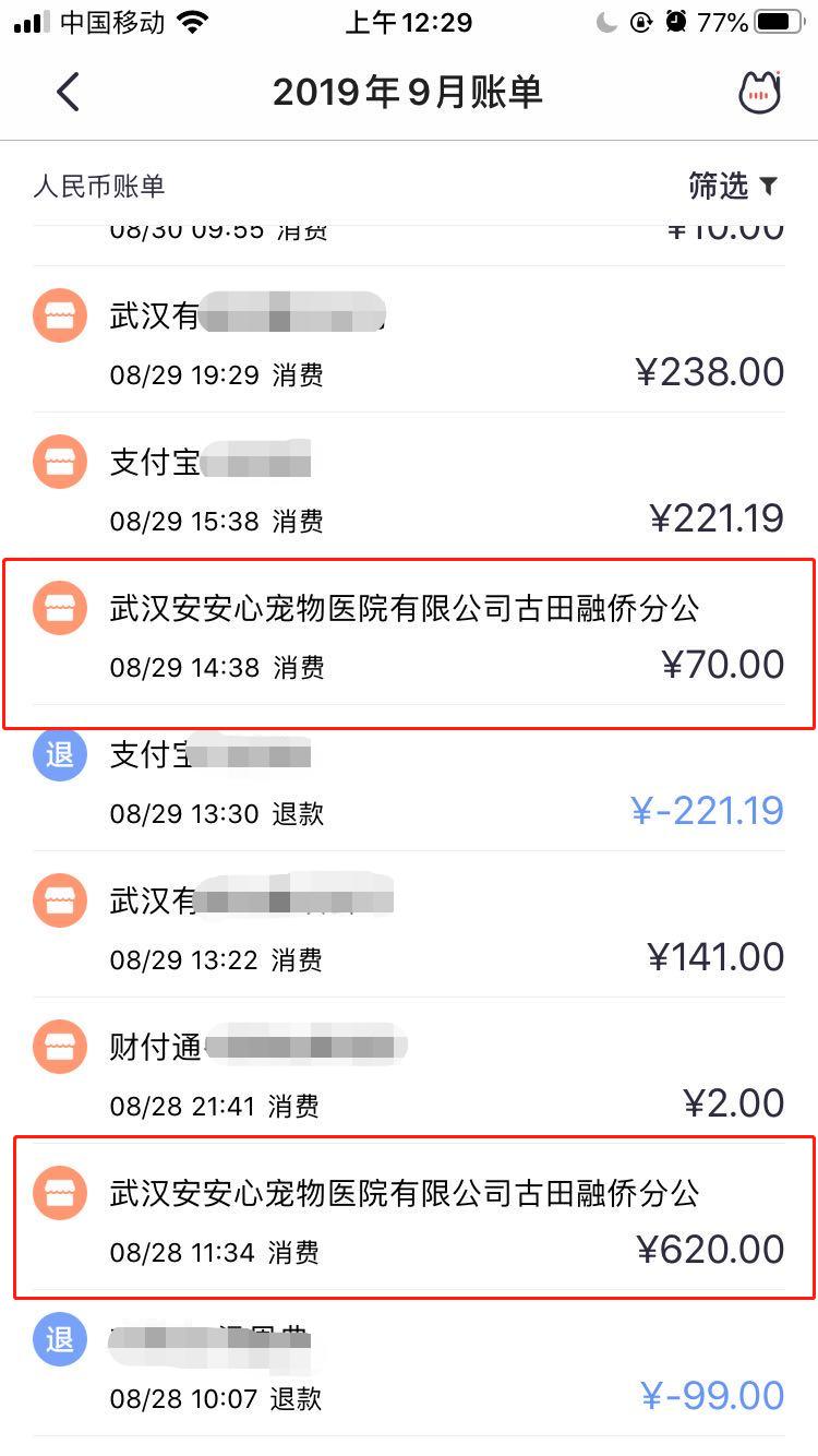 治猫尿闭症要多少钱,治疗猫咪尿闭超过24小时一般花费