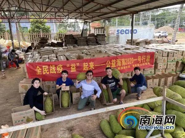 今日小满，遇见初夏！这个季节海南有哪些水果可以吃到爽？