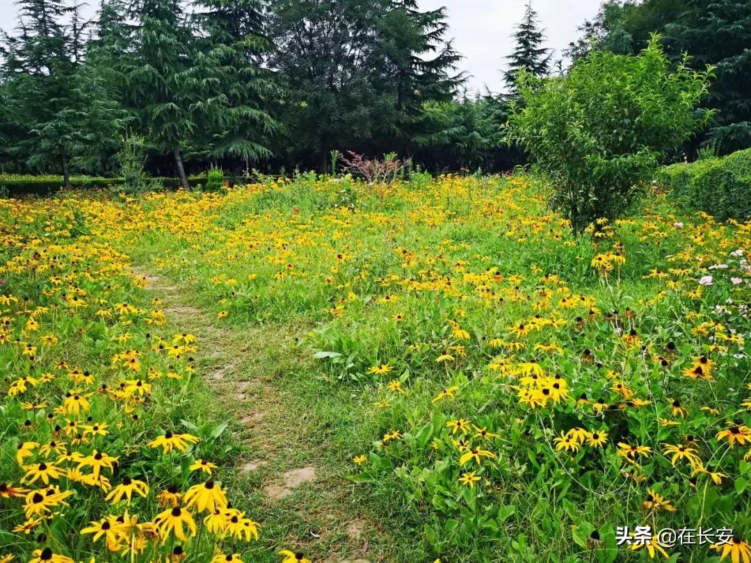 对不起我要去西安了,对不起我要去昭通了