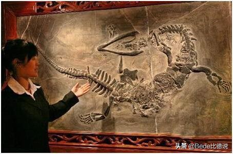 坠龙事件的龙是什么,近几年有发现龙存在吗