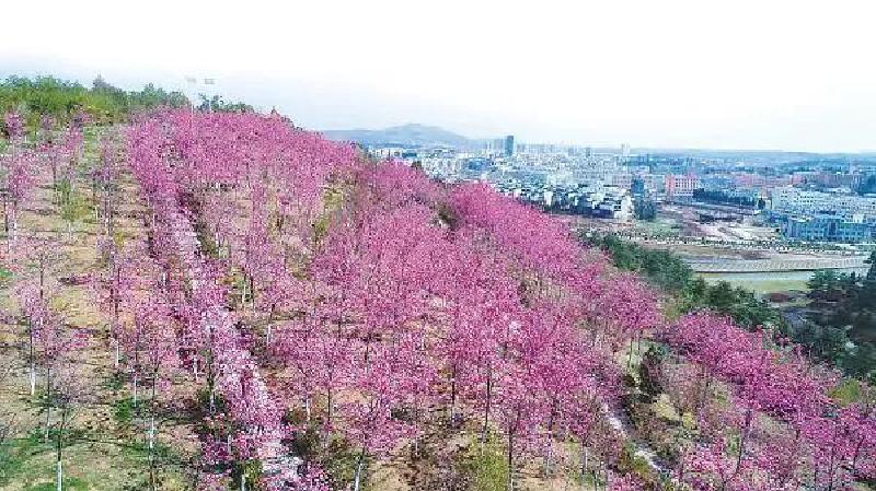 瞧!这花花世界谁不爱