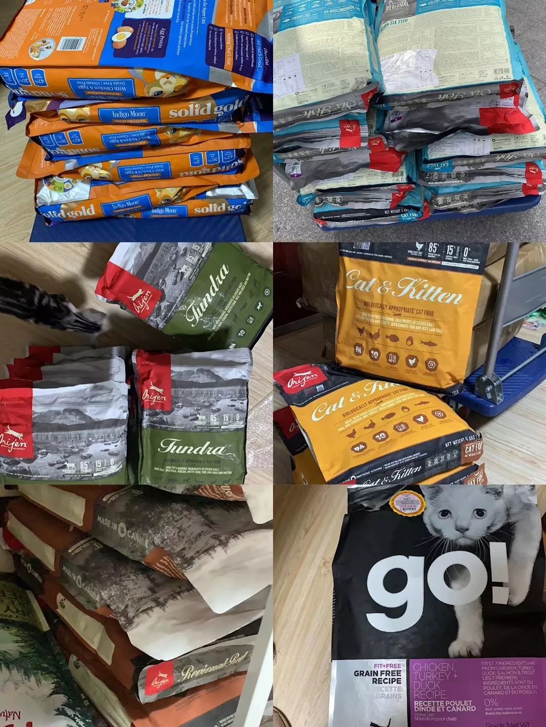 养猫花了1000万,两年时间养猫花了40万