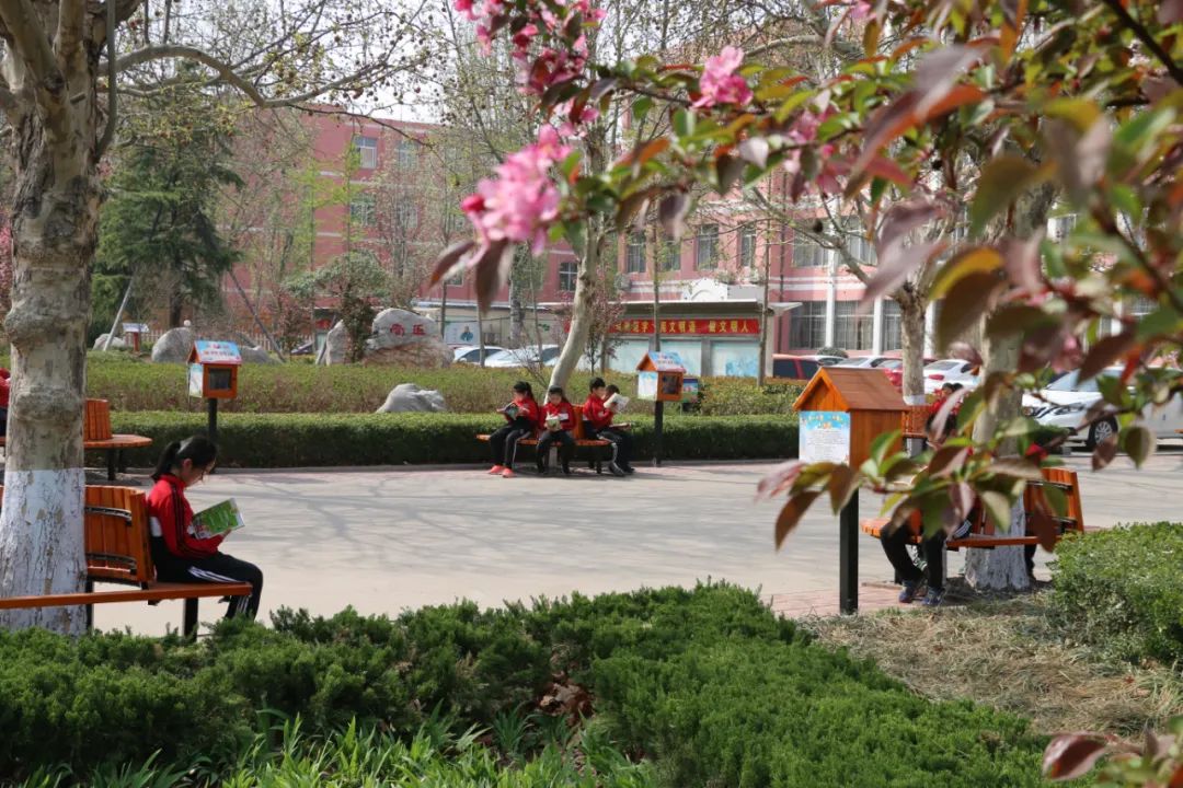 课后服务质量提升教师怎么做,课后服务提升学生核心素养