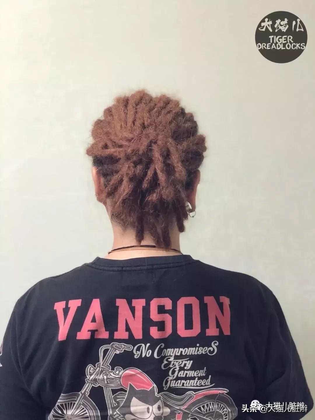 大猫儿脏辫#——老朋友萌仔