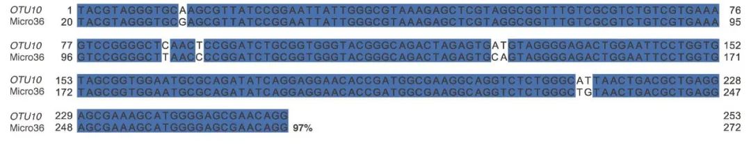 活菌在人体中可以存活吗,活菌在干燥的环境下能存活多久