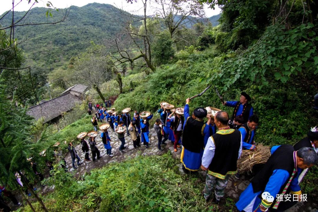 来雅安旅游,雅安二郎山休闲特色民宿