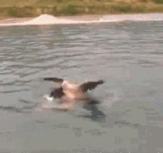 女人各种状态的样子搞笑图,女人每天必须做的搞笑事