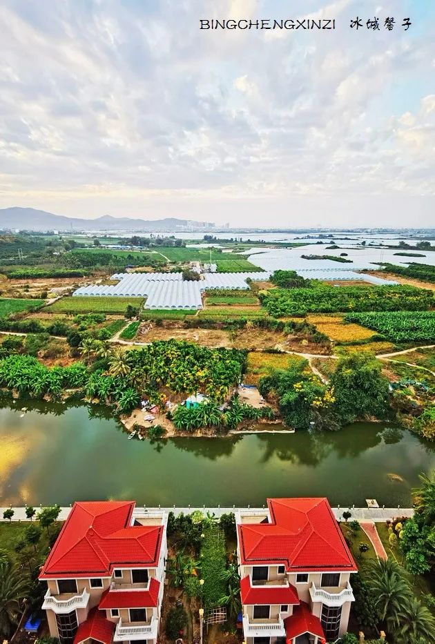 我的旅居生活90多天,我的旅居海南生活系列