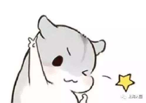 上海青草地幼儿园收费标准,上海幼儿园收费标准明细表