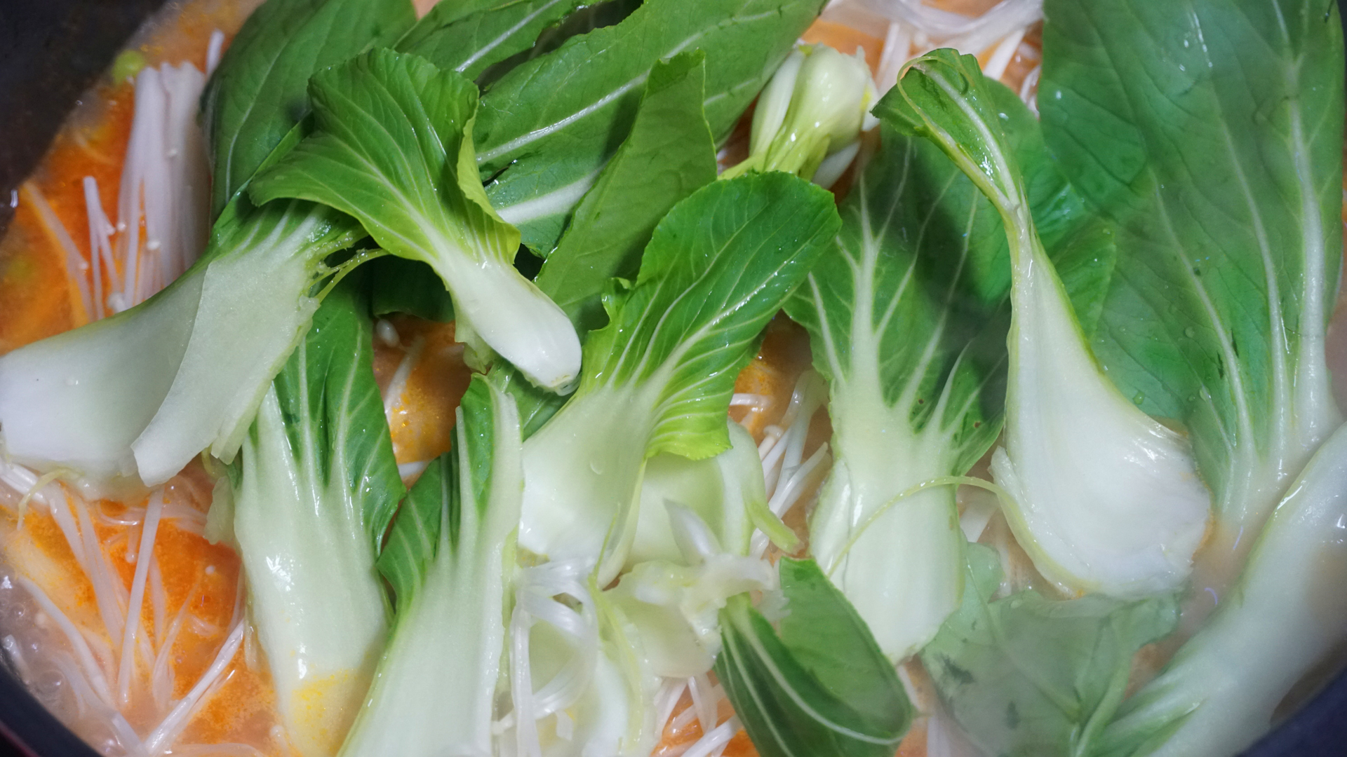 冬天推荐10道精致的下饭家常菜,适合冬天吃的100种家常菜菜谱