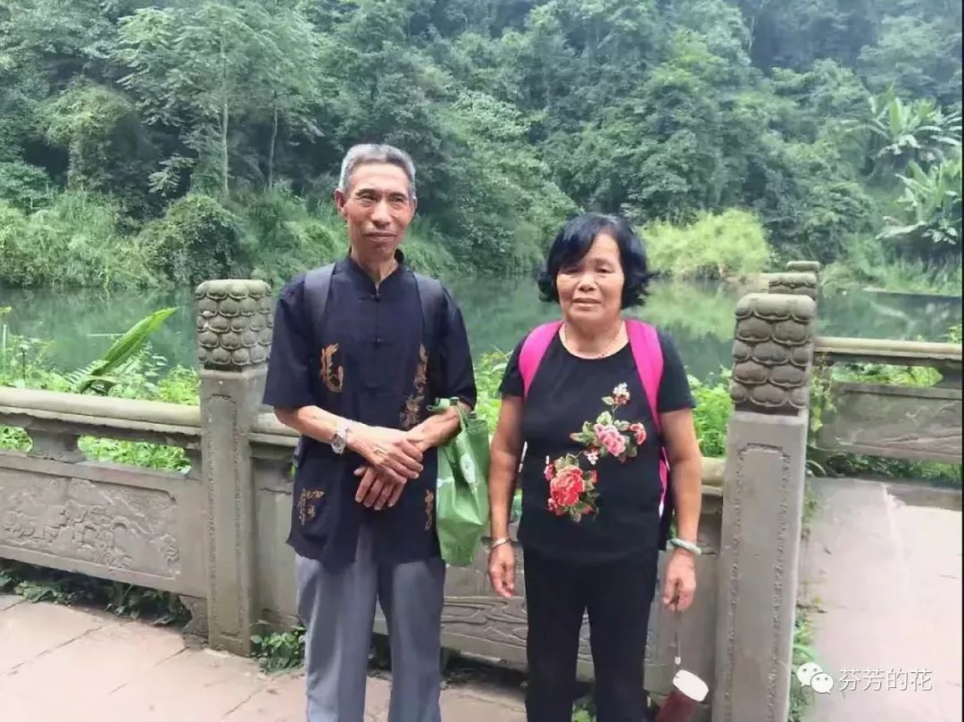 生老病死花落花开,生老病死花开花落