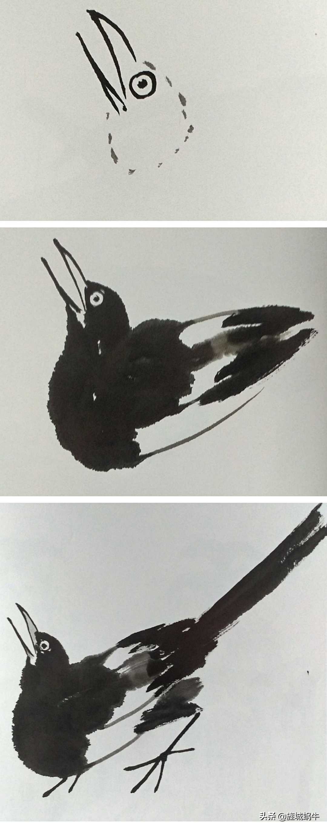 一学就会的禽鸟画法书,禽鸟的画法大全图解