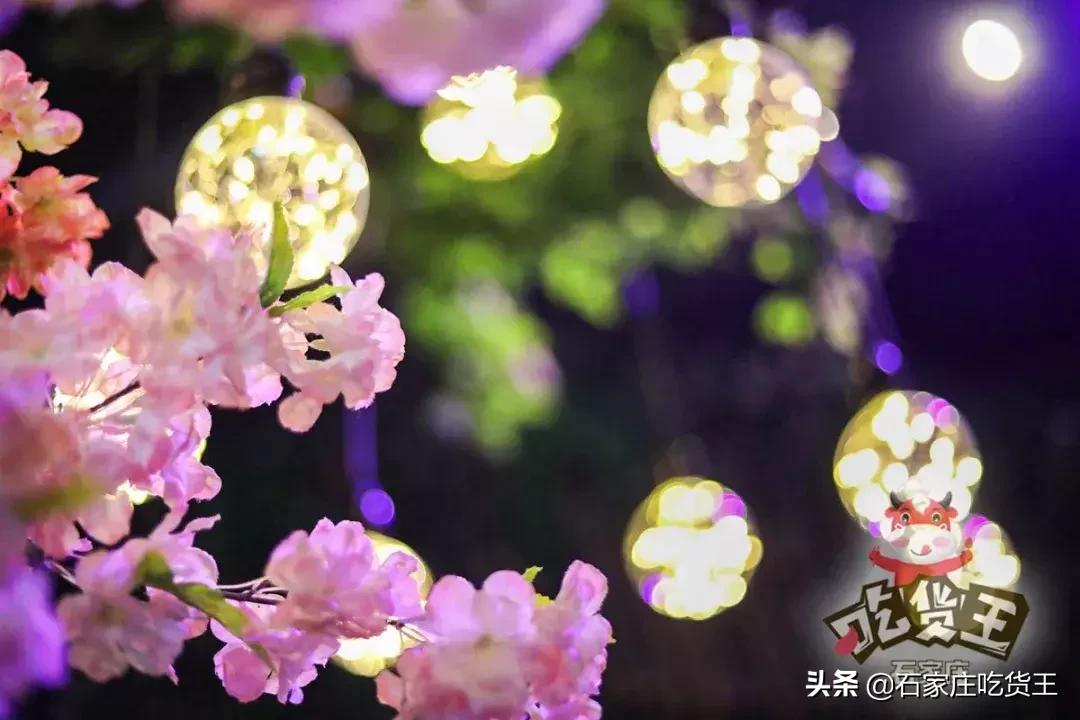 闅愯棌浜庨椆甯傜殑绉樺瘑鑺卞洯,鍖楀浗灏忚绉樺瘑鑺卞洯