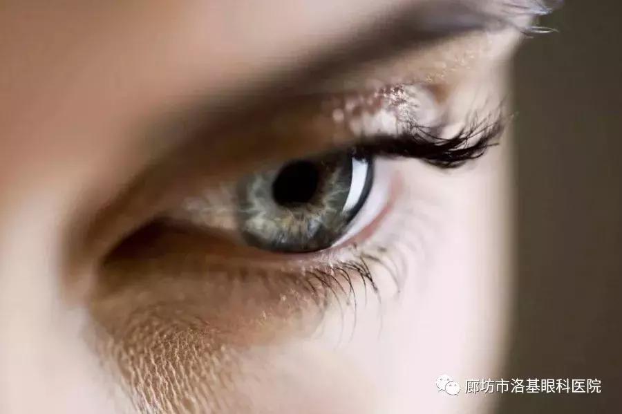 被诊断轻度干眼症能完全治好吗,干眼症眼睛痛怎么办