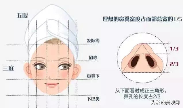 明星都在用的缩小鼻翼神器,明星鼻子做鼻翼缩小外切