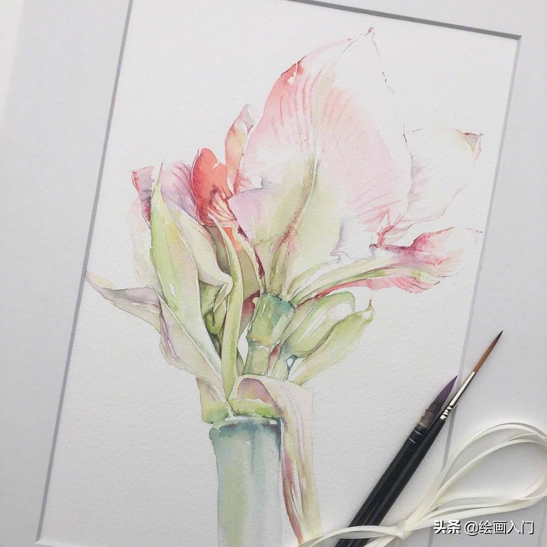 唯美写意水彩花卉,各种水彩花卉的表现技法学习吧