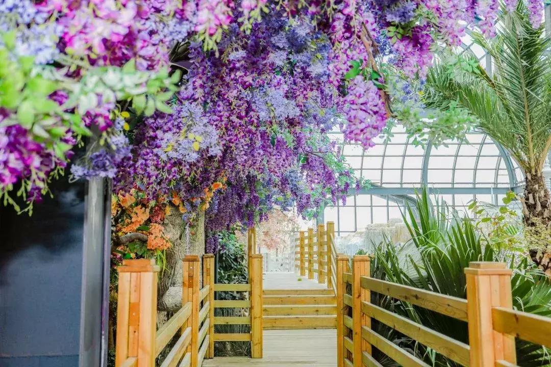 *京大南**塘金湖光山色一座真正地湖景别墅,静下来感受美好诗意生活