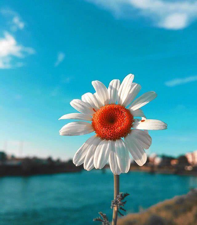 散文：乐观的人生，才会有更多的快乐