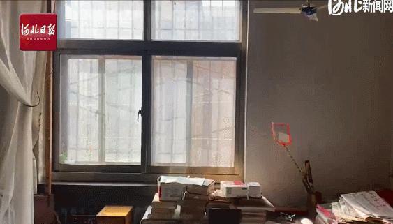 河北你终于藏不住了,河北你