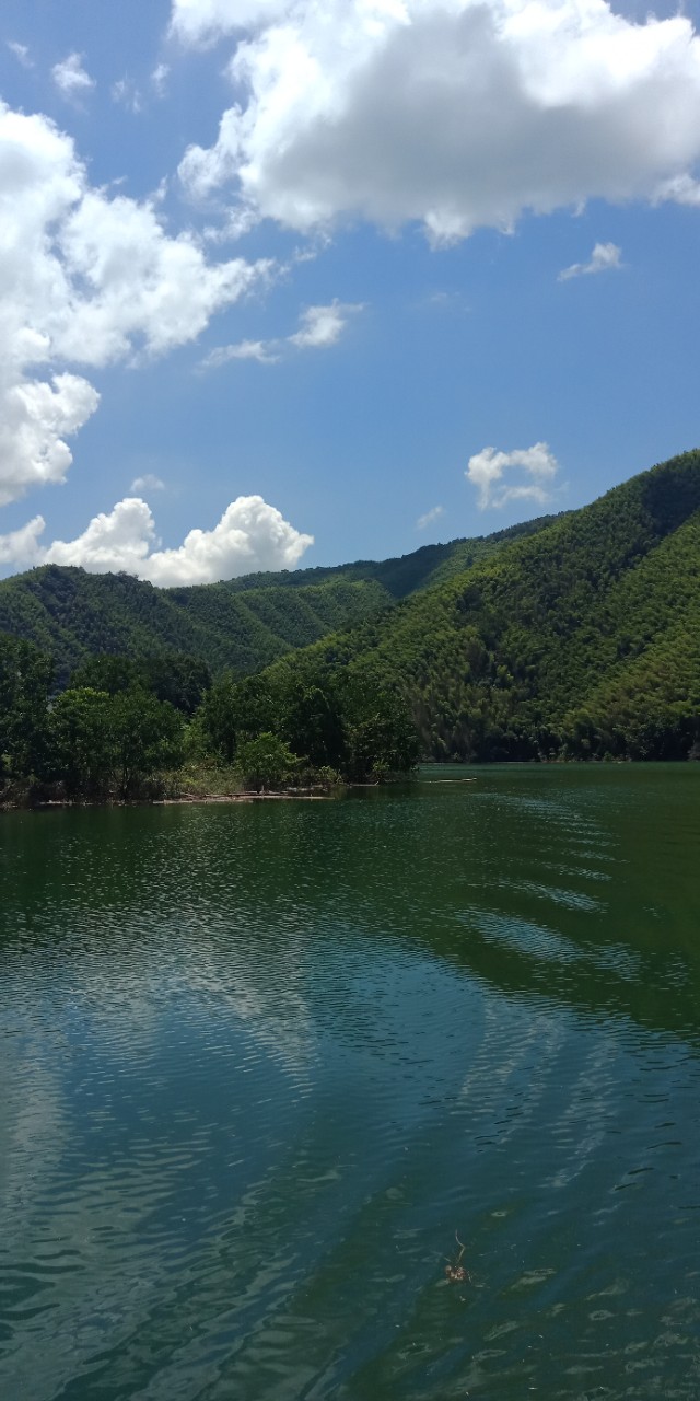 九州文学南京诗社作品,九州文学社作品