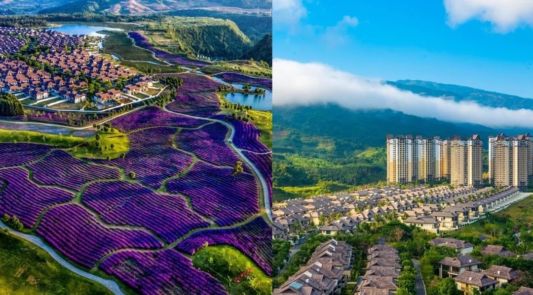 买一家酒店是一种什么样的体验,买房子一家人住3居好还是4居好