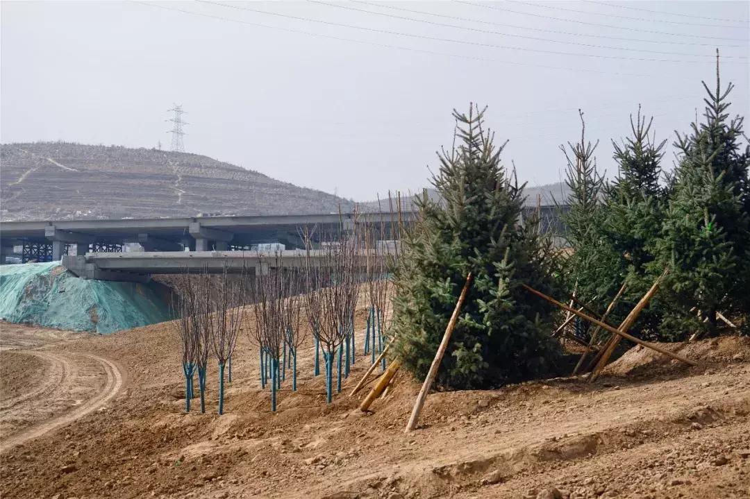 西宁一个臭水沟变成了大公园，看看在哪？