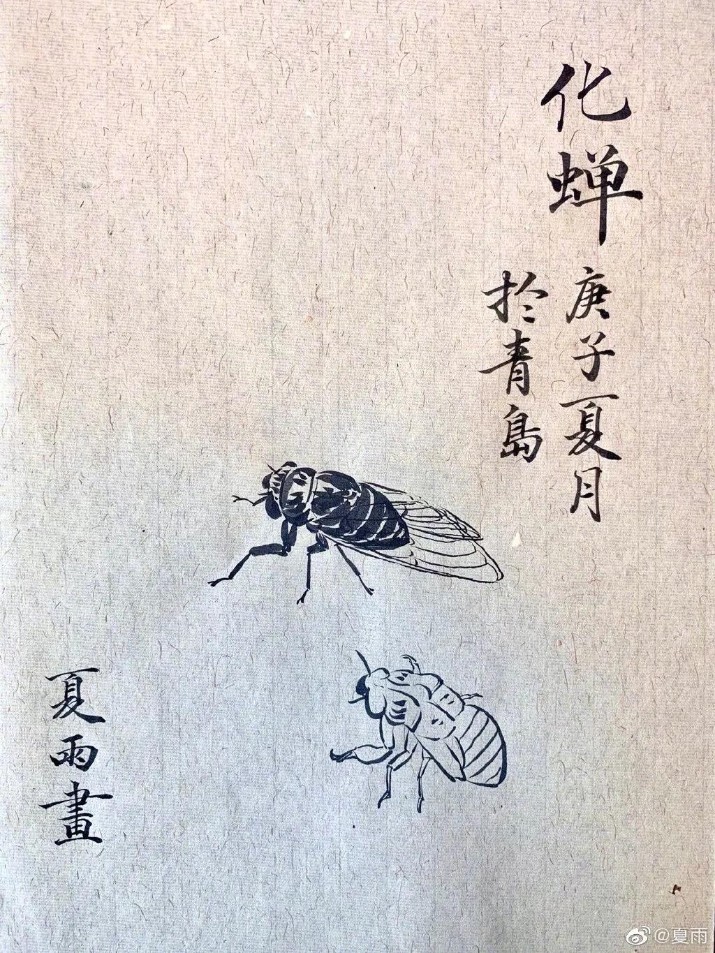 影帝夏雨书法真迹,演员夏雨晒书法作品