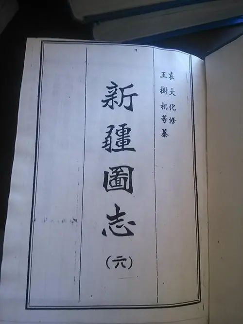 许振东‖清代京畿三位徙疆文人的视域转换与文学呈现（上）