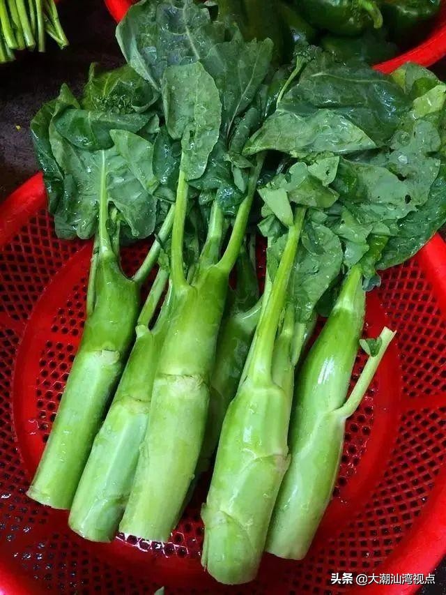 潮汕紫色芥蓝,为什么广东人喜欢吃芥蓝