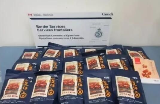 留学生考试作弊被抓,留学生被抓最新处罚