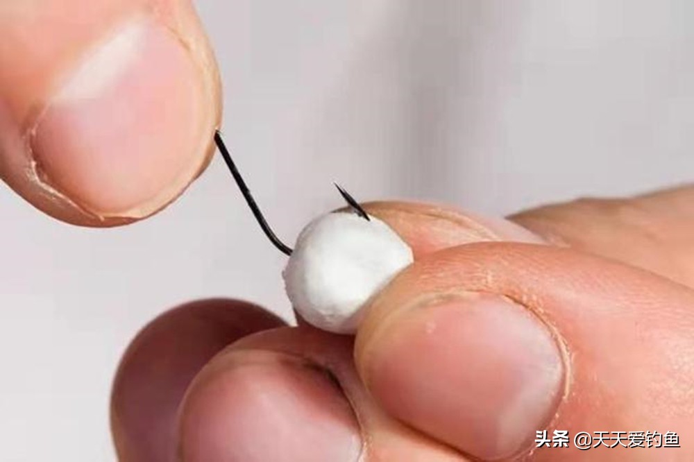 钓鱼蘸饵哪种最好,蘸饵方法