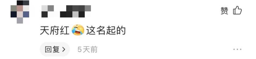 天府红天府广场路线,从天府广场到天府红