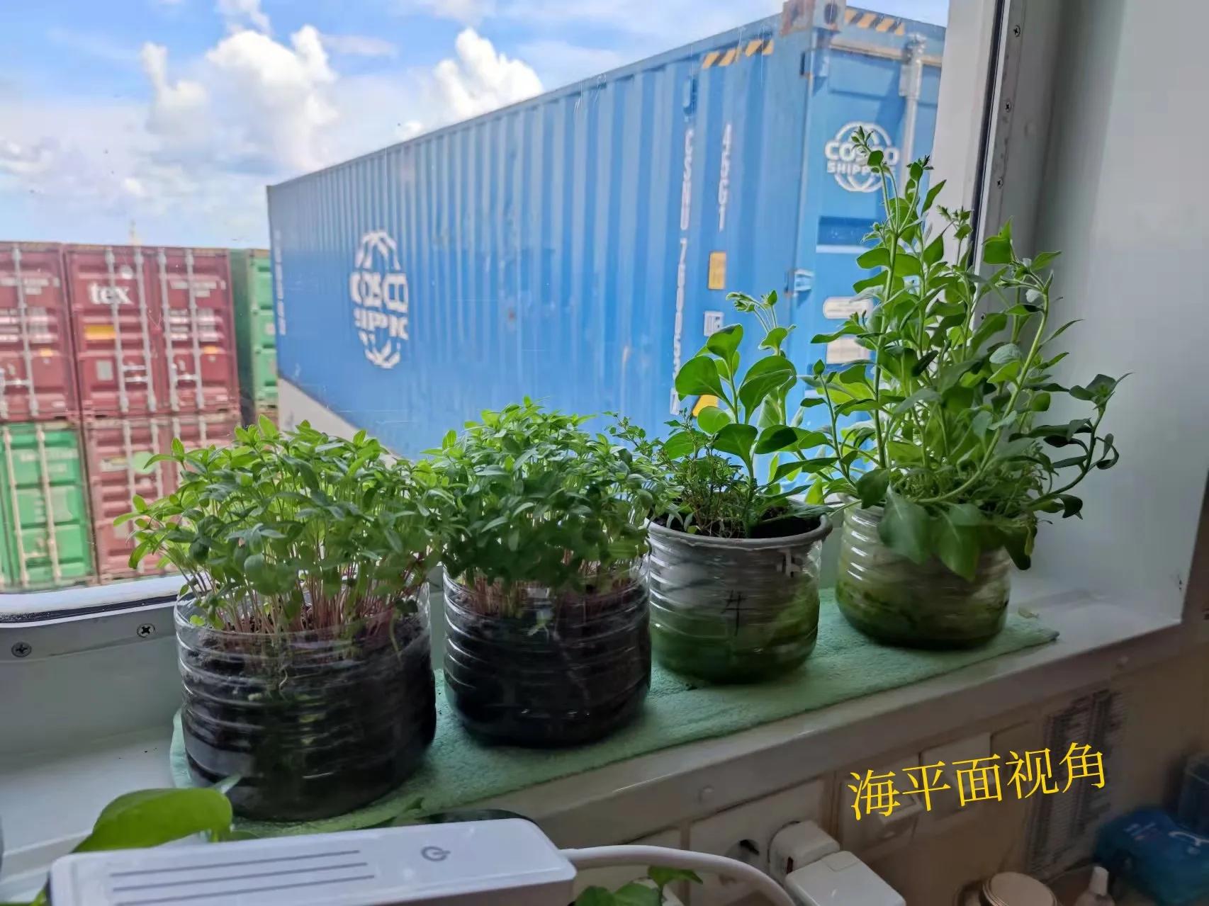 怎样做一名好船员,做一个船员需要什么技能